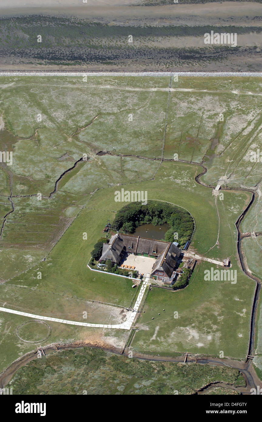 Vista aerea su un tumulo di abitazione su Suederoog holm nel nord Frisone Wadden Sea al largo della costa di Schleswig-Holstein, Germania, 26 giugno 2008. Suederoog, circa 60 ettari, si trova a sud ovest di Pellworm nella zona di protezione 1 di 'Nationalpark il Wadden Sea". I turisti possono visitare il leccio nell'ambito di visite guidate. Foto: euroluftbild.de Foto Stock