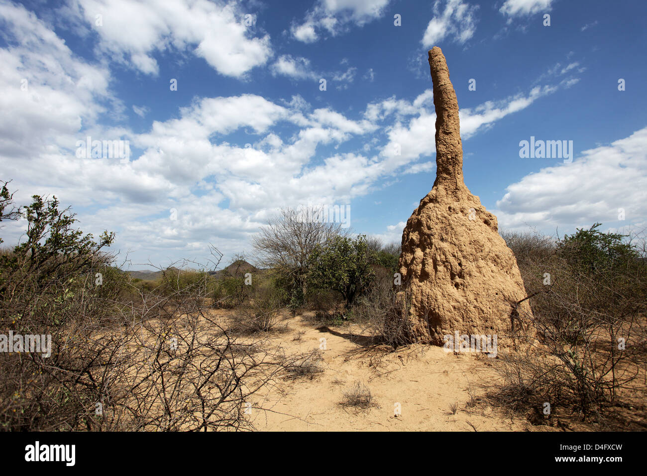 Termite nest - Etiopia, Africa Foto Stock