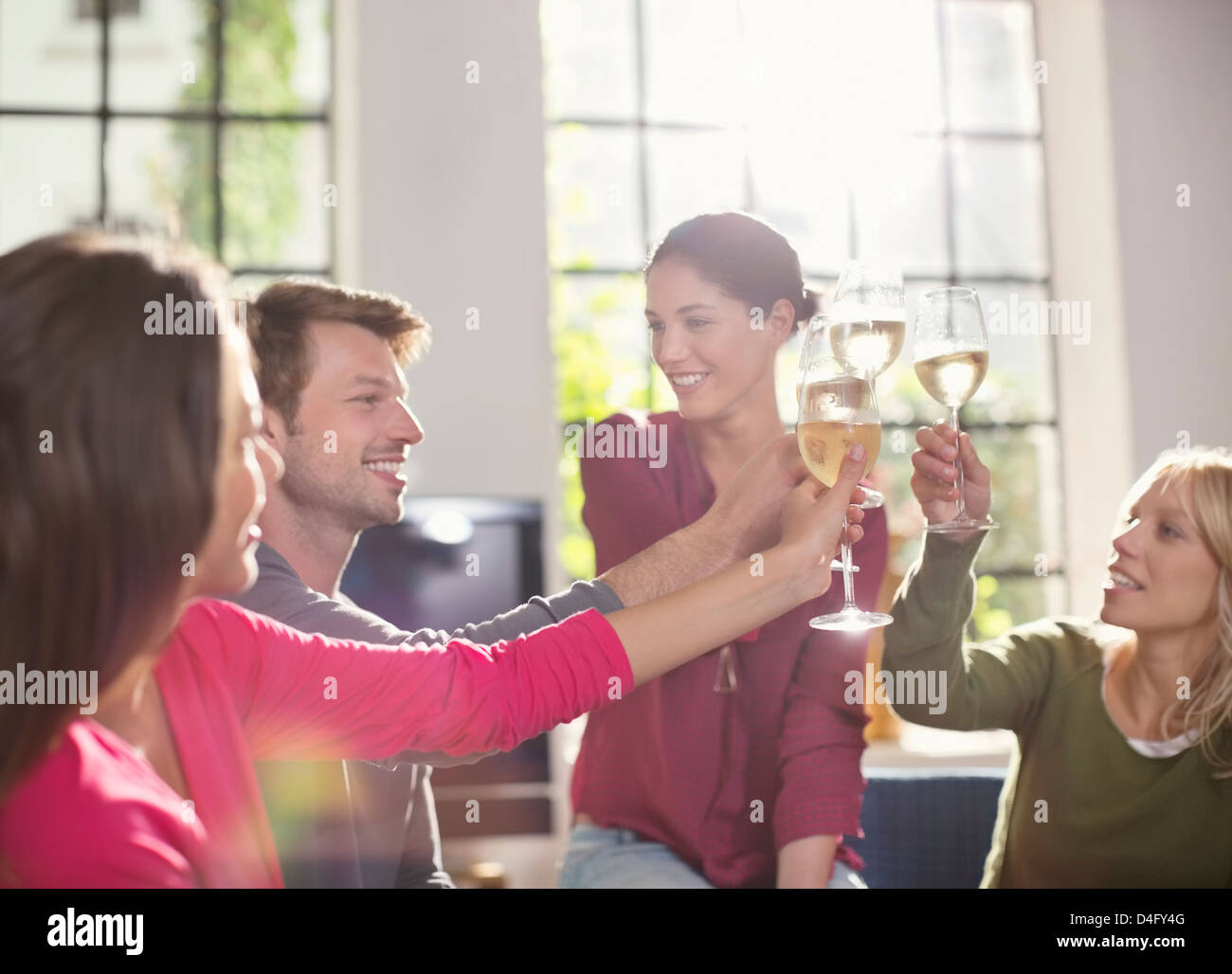 Gli amici la tostatura a vicenda con il vino Foto Stock