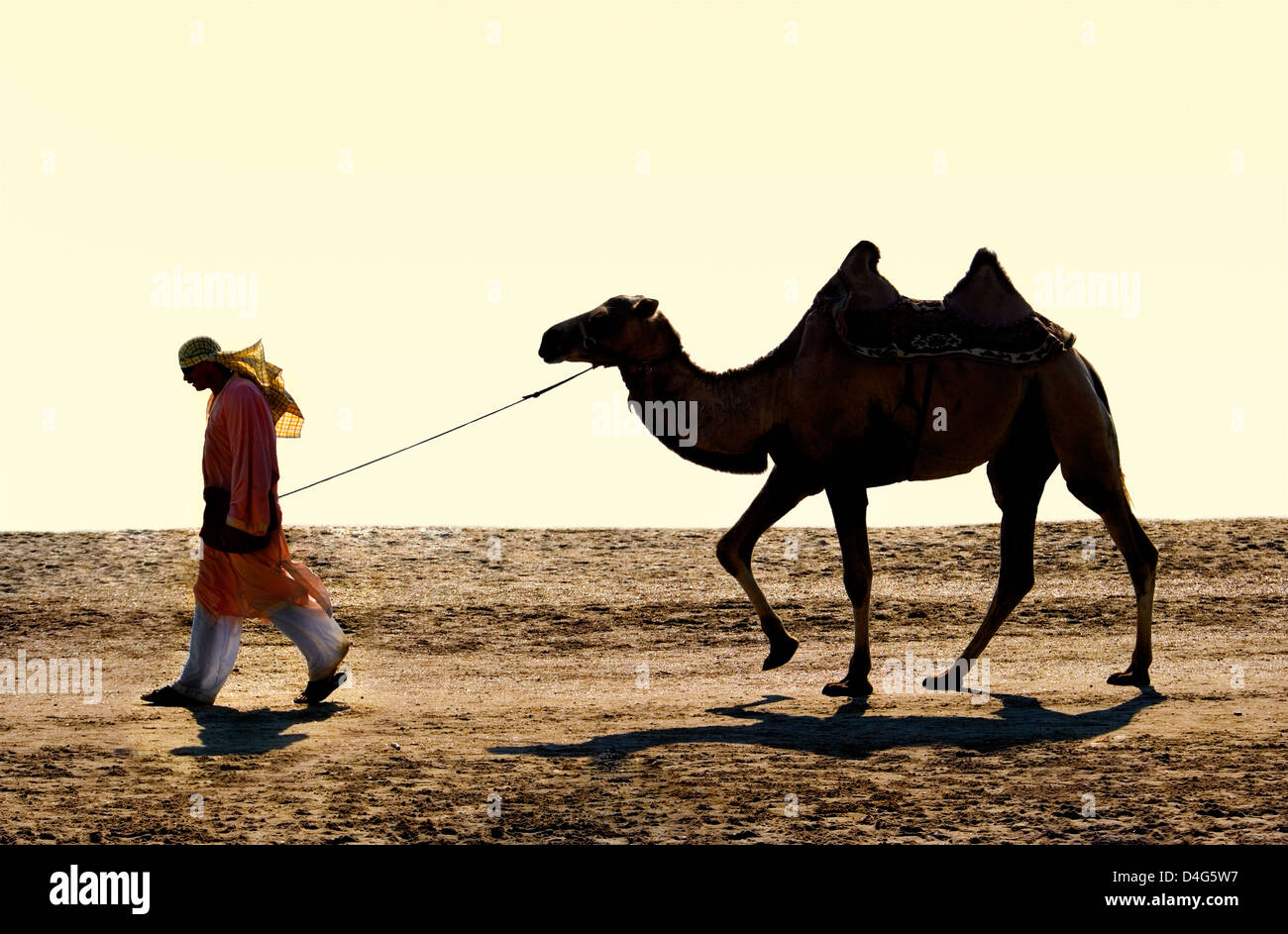Il drover con un cammello passare sul deserto Foto Stock