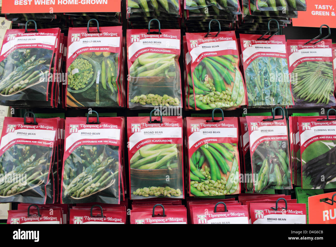 Pacchetti di semi per la vendita presso un centro giardino. Surrey England Regno Unito. Foto Stock