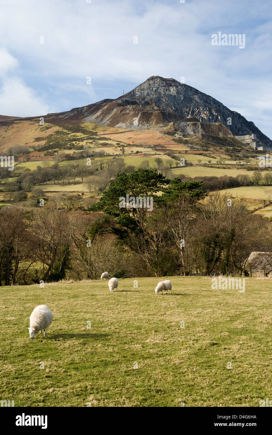 Tre'r Ceiri, Yr Eifl montagne da Trefor, Lleyn Peninsula, Caernarfon, Gwynedd, il Galles del Nord. Foto Stock