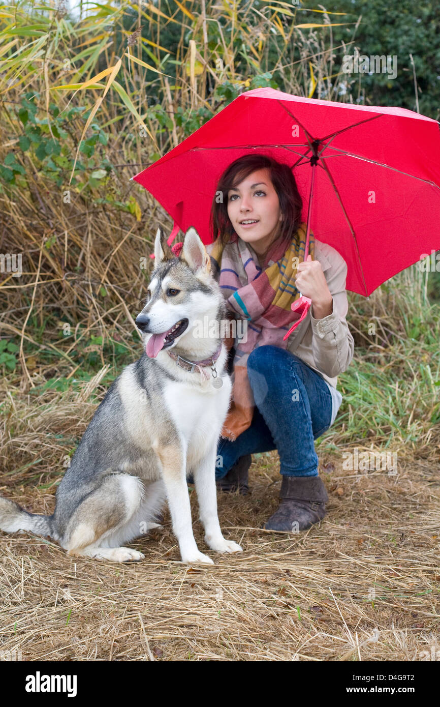Ragazza adolescente con Alaskan Malamute Cane si ripara dalla pioggia sotto Ombrellone rosso su un paese a piedi Foto Stock