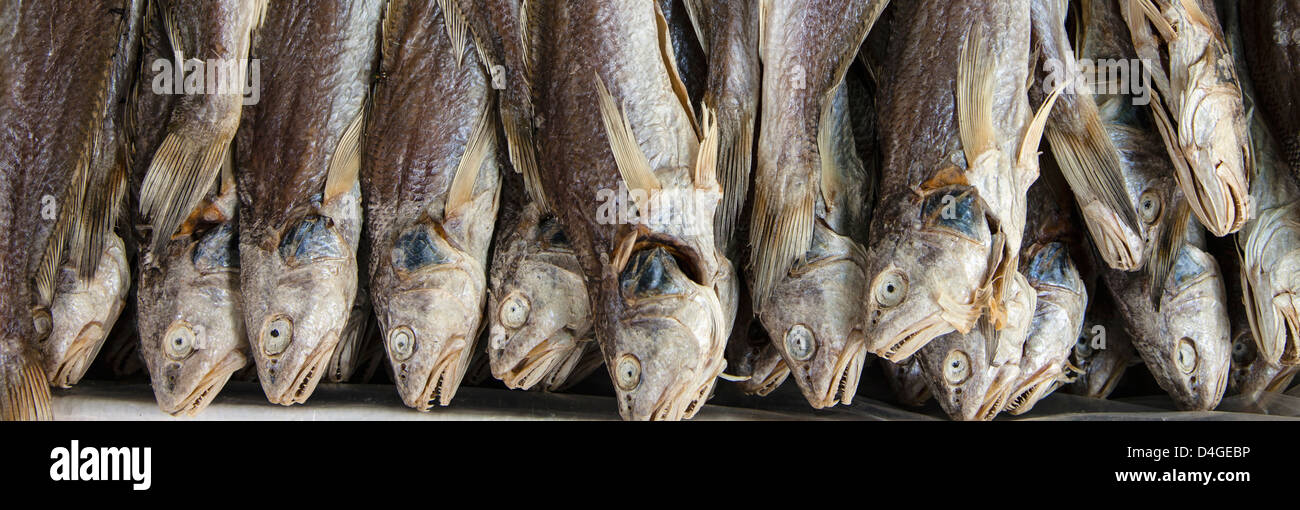 Pesci secchi sul pesce essiccato Street di Hong Kong Foto Stock