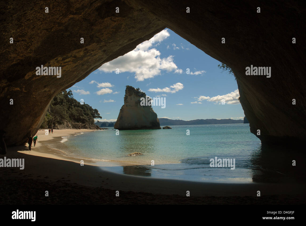 Te Hoho Rock, una maestosa formazione calcarea che si erge dalle acque poco profonde di Cathedral Cove nella penisola di Coromandel della Nuova Zelanda. Foto Stock