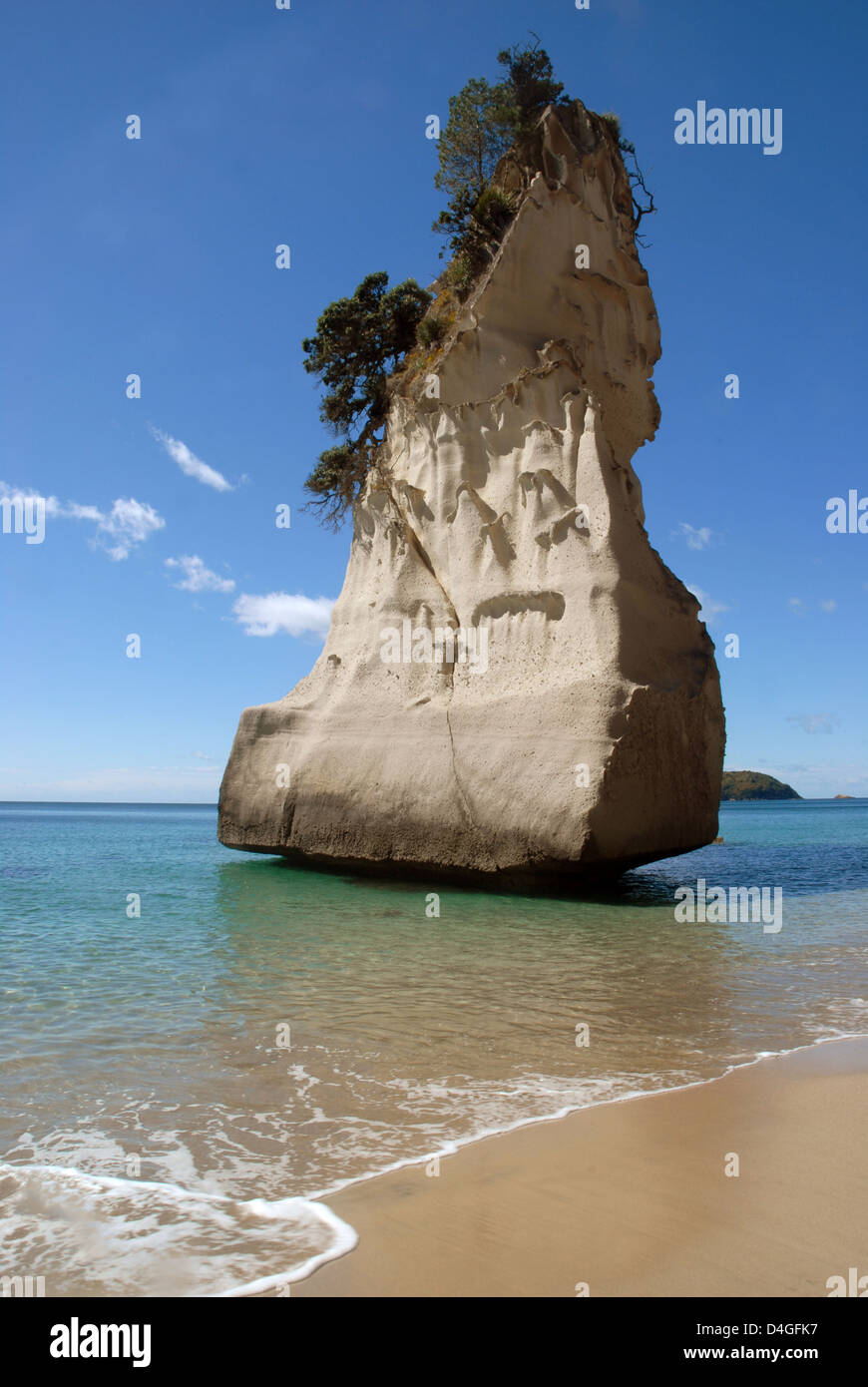 Te Hoho Rock, una maestosa formazione calcarea che si erge dalle acque poco profonde di Cathedral Cove nella penisola di Coromandel della Nuova Zelanda. Foto Stock