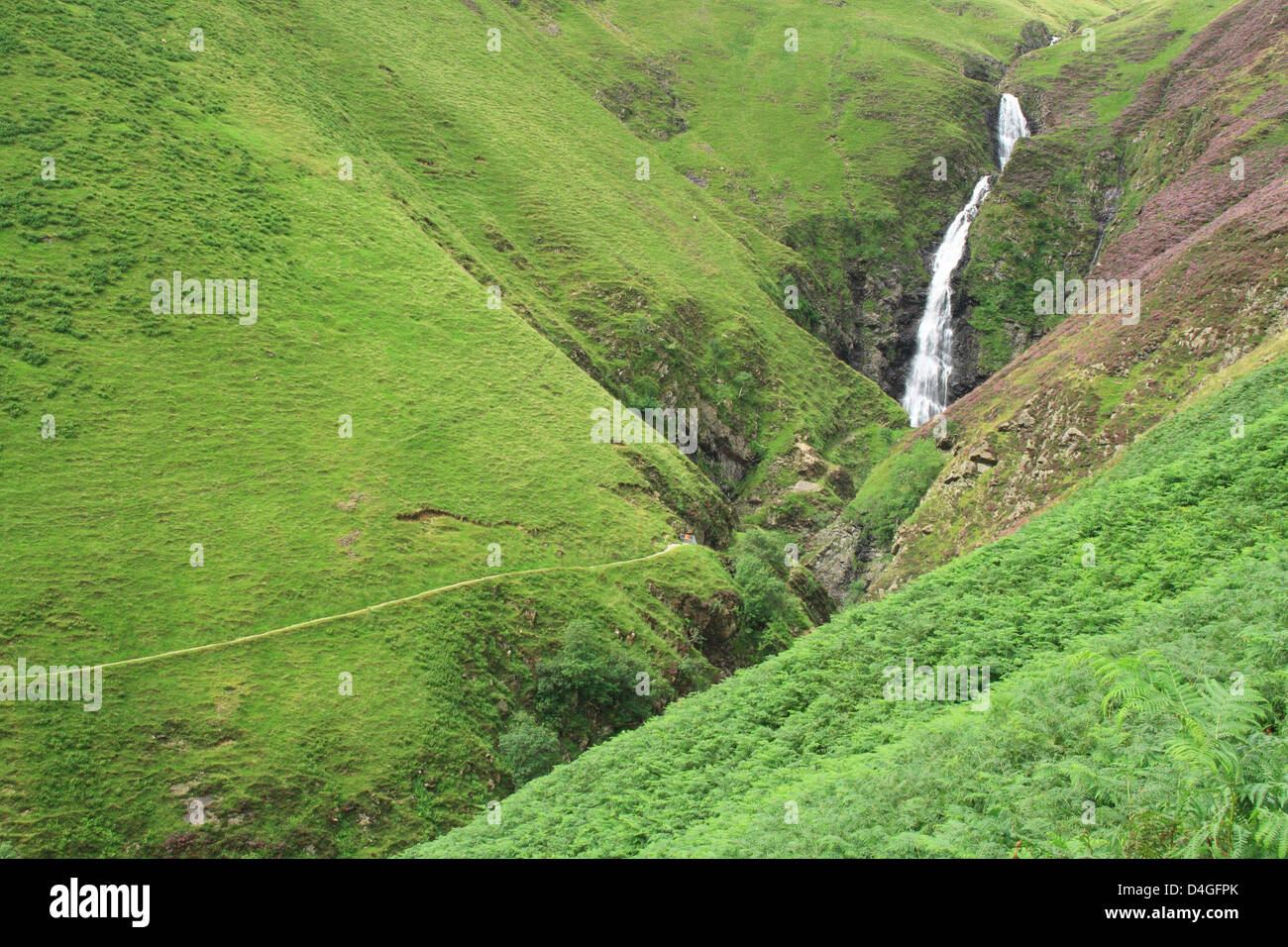 Grigio coda Mares cascata, Moffatdale, Dumfries & Galloway, Scotland, Regno Unito Foto Stock