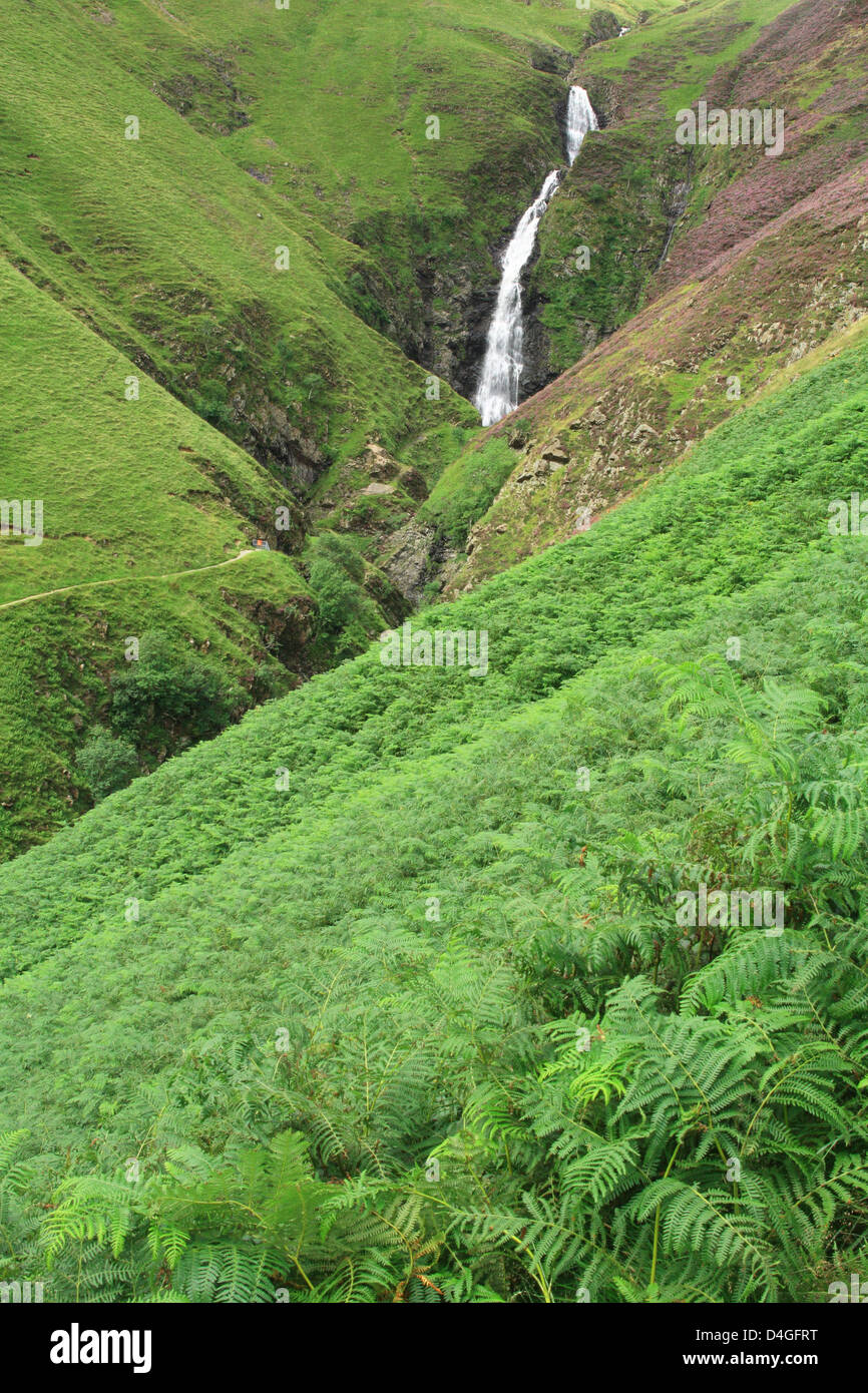 Grigio coda Mares cascata, Moffatdale, Dumfries & Galloway, Scotland, Regno Unito Foto Stock