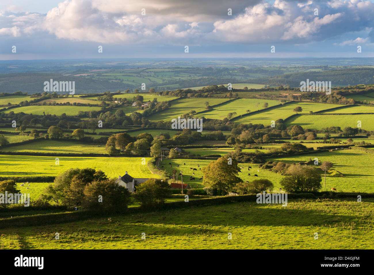 Il rotolamento Dartmoor campagna, Brentor, Devon, Inghilterra. In autunno (settembre 2012). Foto Stock