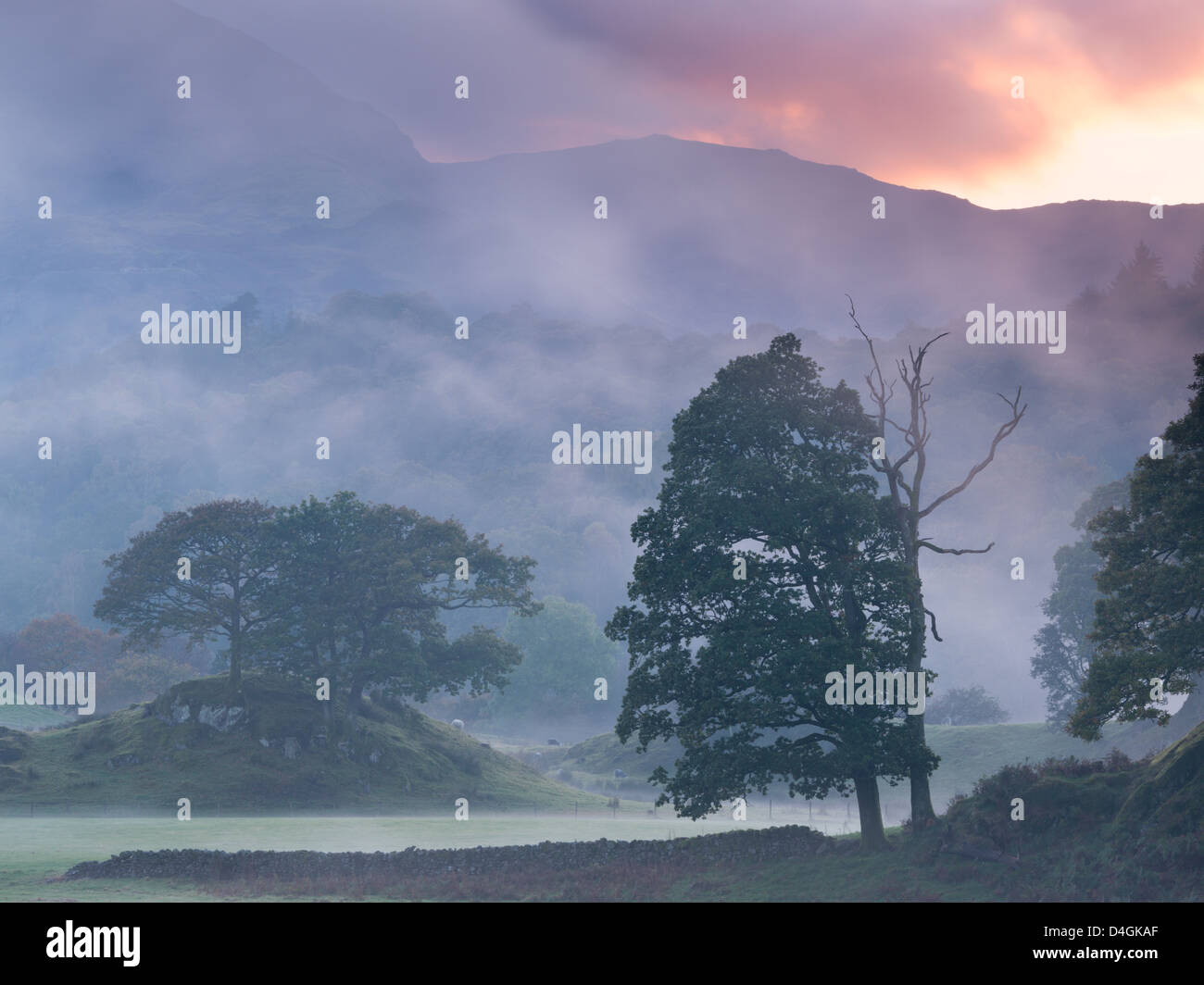 Misty atmosferica tramonto vicino Elterwater, Lake District, Cumbria, Inghilterra. In autunno (ottobre 2012). Foto Stock