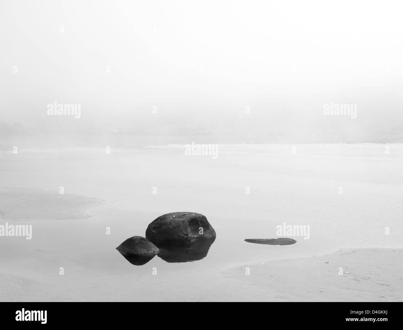 Vista della Baia di Purakaunui su nebbioso giorno quando l'aria era umida e il mare freddo; il Catlins, Southland, Nuova Zelanda Foto Stock