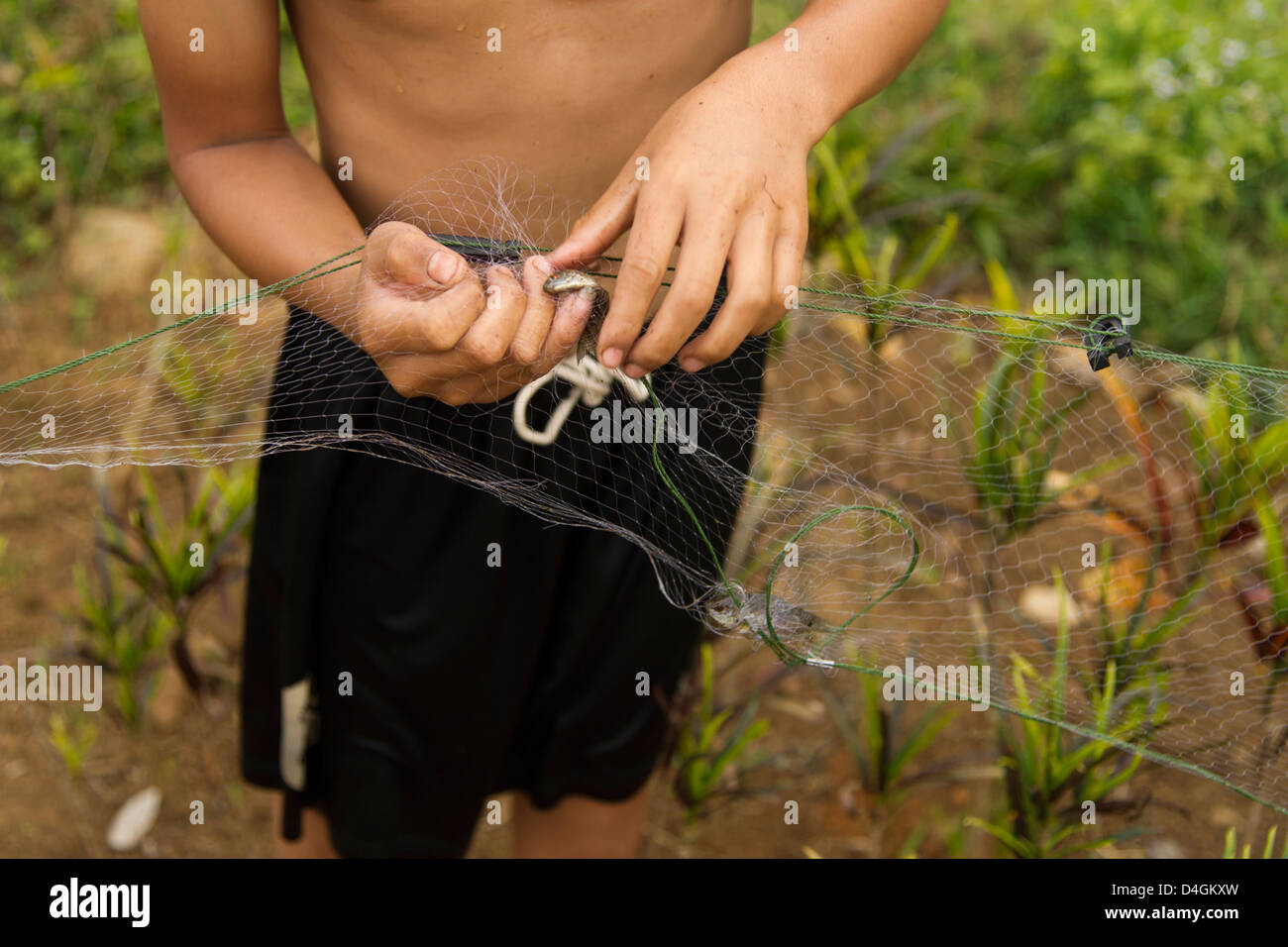 Un giovane ragazzo rimuove un piccolo pesce dalla sua rete da pesca Foto Stock