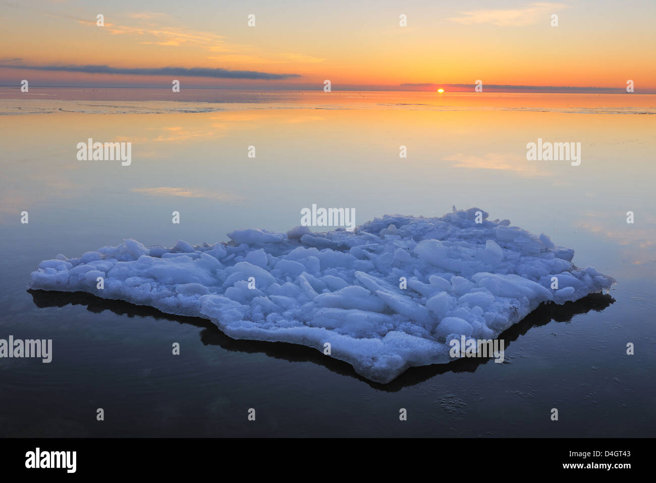 Il ghiaccio galleggiante in acqua illuminate dal sole al tramonto, Näsbokrok Naturreservat, Halland, Svezia, Europa Foto Stock