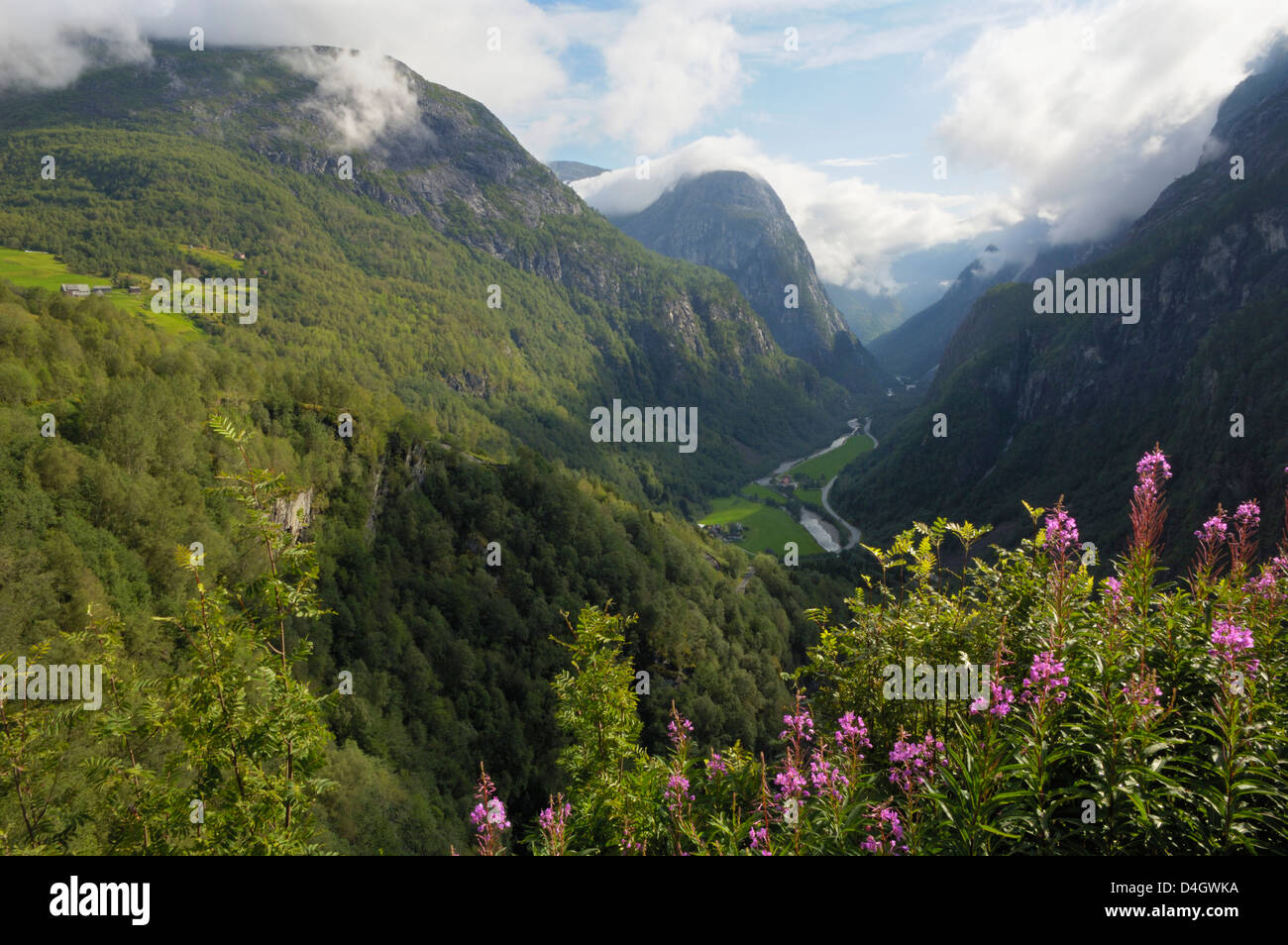 Vista da Stalheim, Naeroydalen valley, Norvegia e Scandinavia Foto Stock