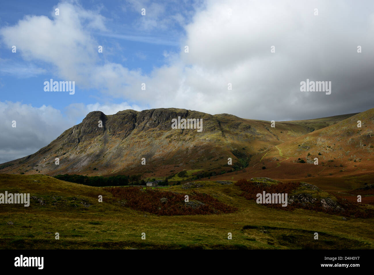 Buckbarrow,erte hill top nel distretto del lago, Cumbria,Nord ovest Inghilterra,36MPX,Hi-res Foto Stock