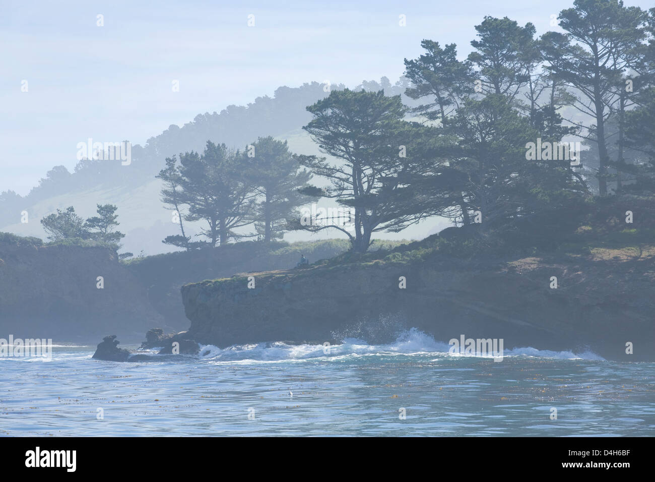 Lo scivolo del carbone punto e' Whalers Cove, Point Lobos State Reserve, Monterey County, California, Stati Uniti d'America, su una mattinata nebbiosa Foto Stock