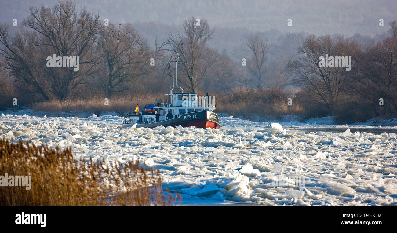 Tedesco Ice Breaker Kienitz cancella una corsia di spedizione da lastre di ghiaccio sul fiume Oder vicino Stuetzkow, Germania, 19 gennaio 2009. Cinque tedeschi e cinque polacco rompighiaccio sono in azione sul fiume di confine dal fine settimana. Foto: Patrick Pleul Foto Stock