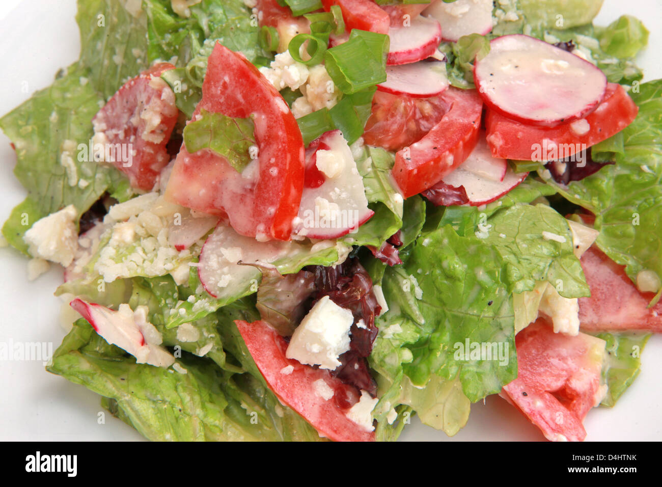 Verde con insalata di lattuga, rocket (rucola) pomodori e formaggio Foto Stock