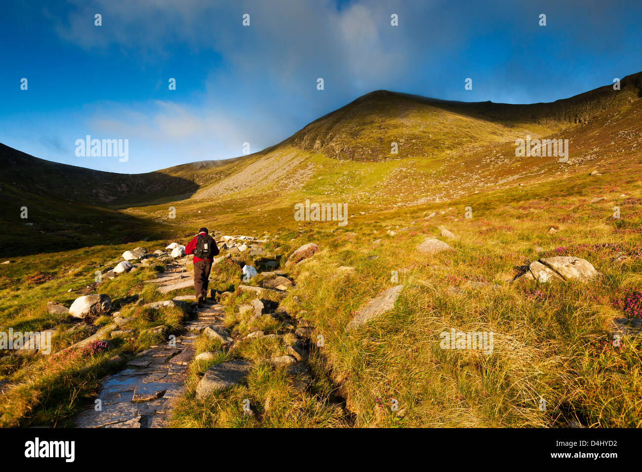 Mourne Mountains, Co. Down, Irlanda del Nord Foto Stock