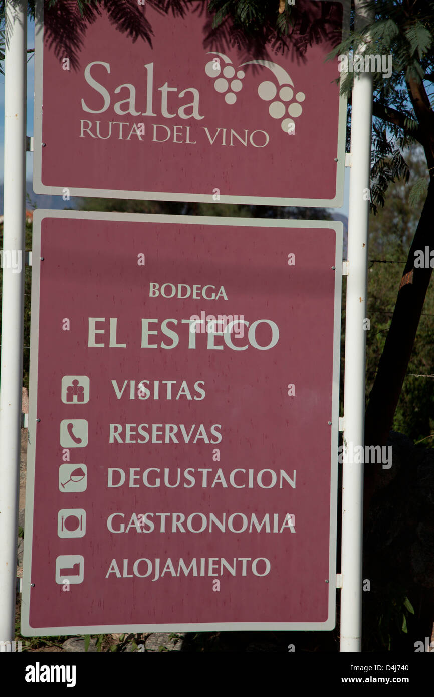 Vigneto in viticoltura regione Cafayate Torrontés con uve bianche a Salta Argentina Foto Stock