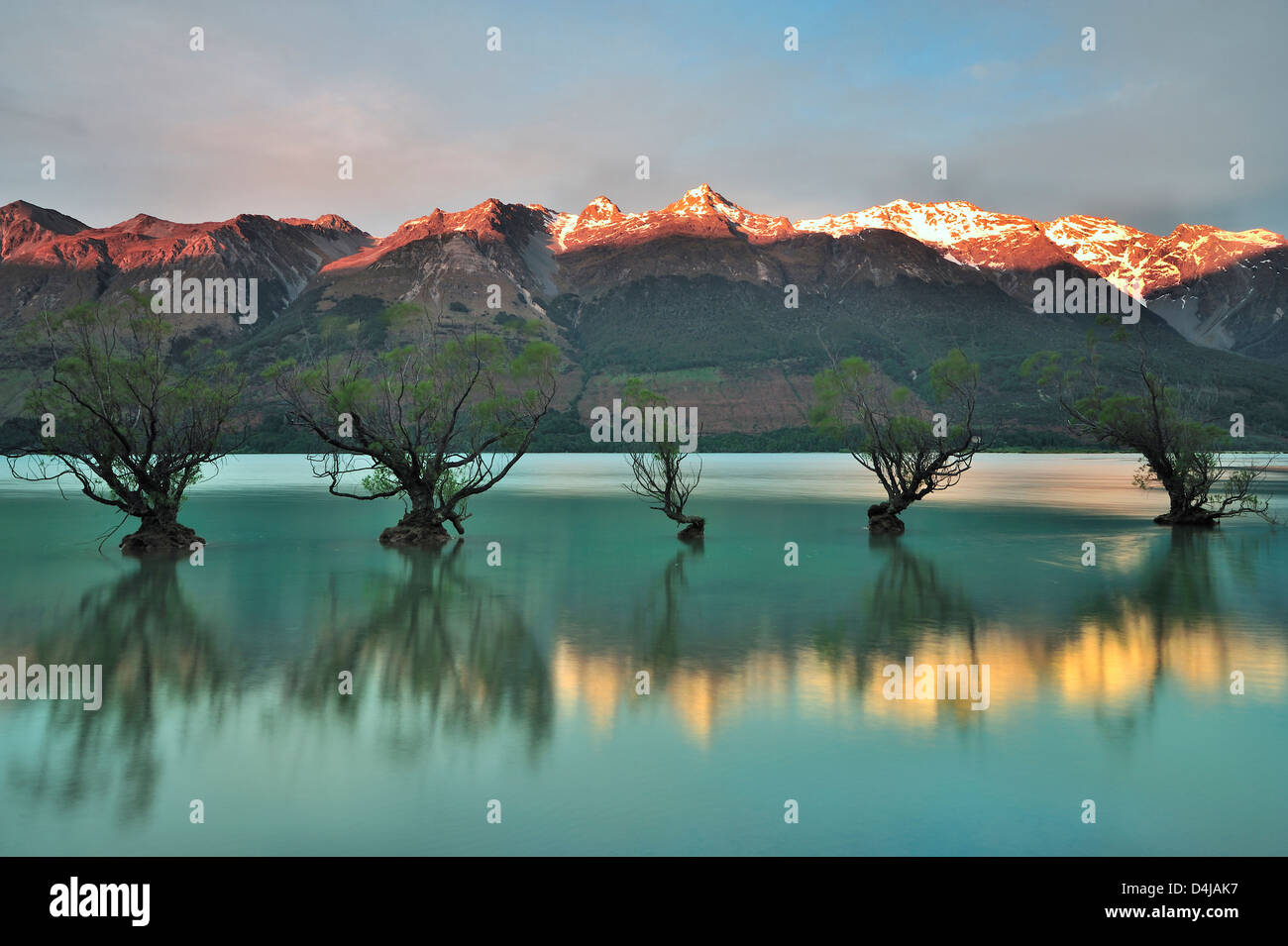 Floating fila di alberi di Glenorchy, Nuova Zelanda Foto Stock