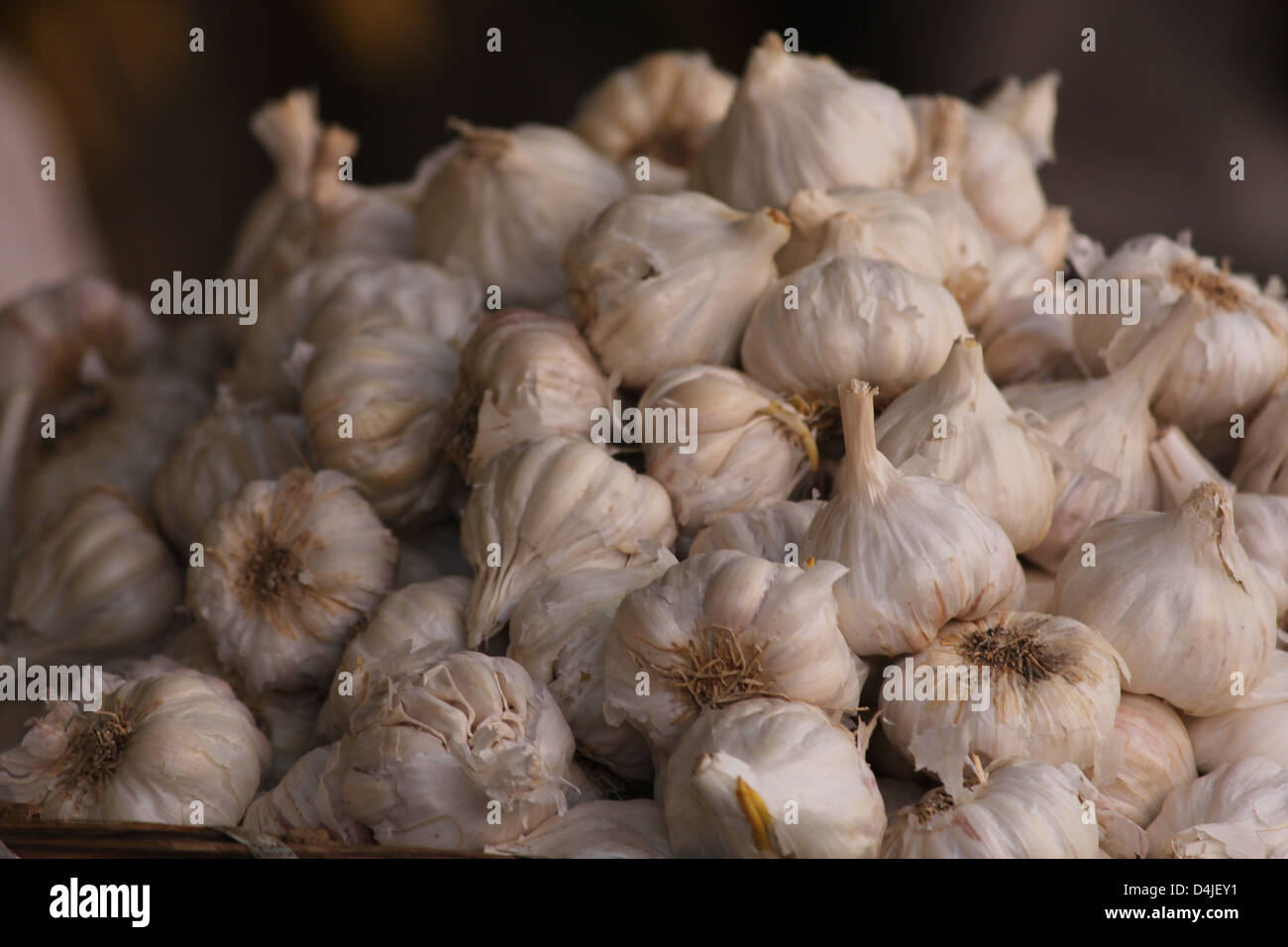 Colpo di aglio in un mercato Foto Stock
