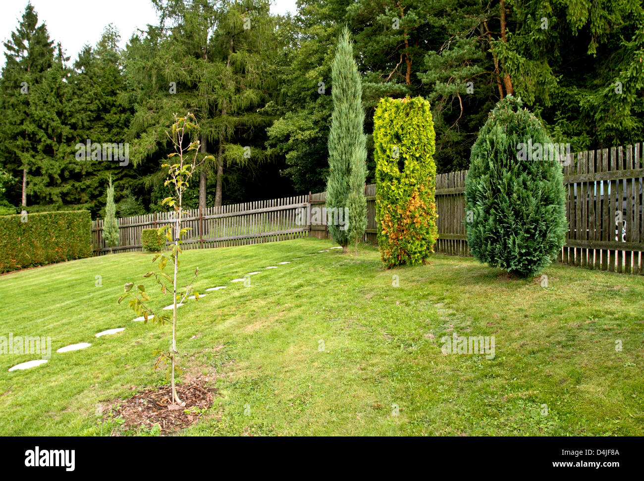 Giardino con alberi e recinzione di legno Foto Stock