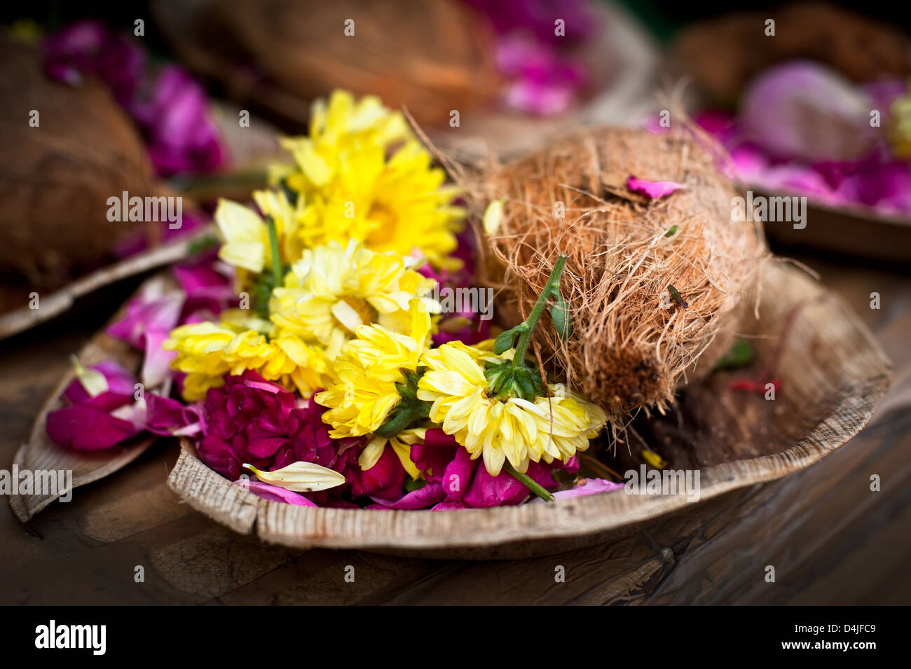 Fiore e offerte di noce di cocco per la cerimonia religiosa Indù o festival di santa Foto Stock