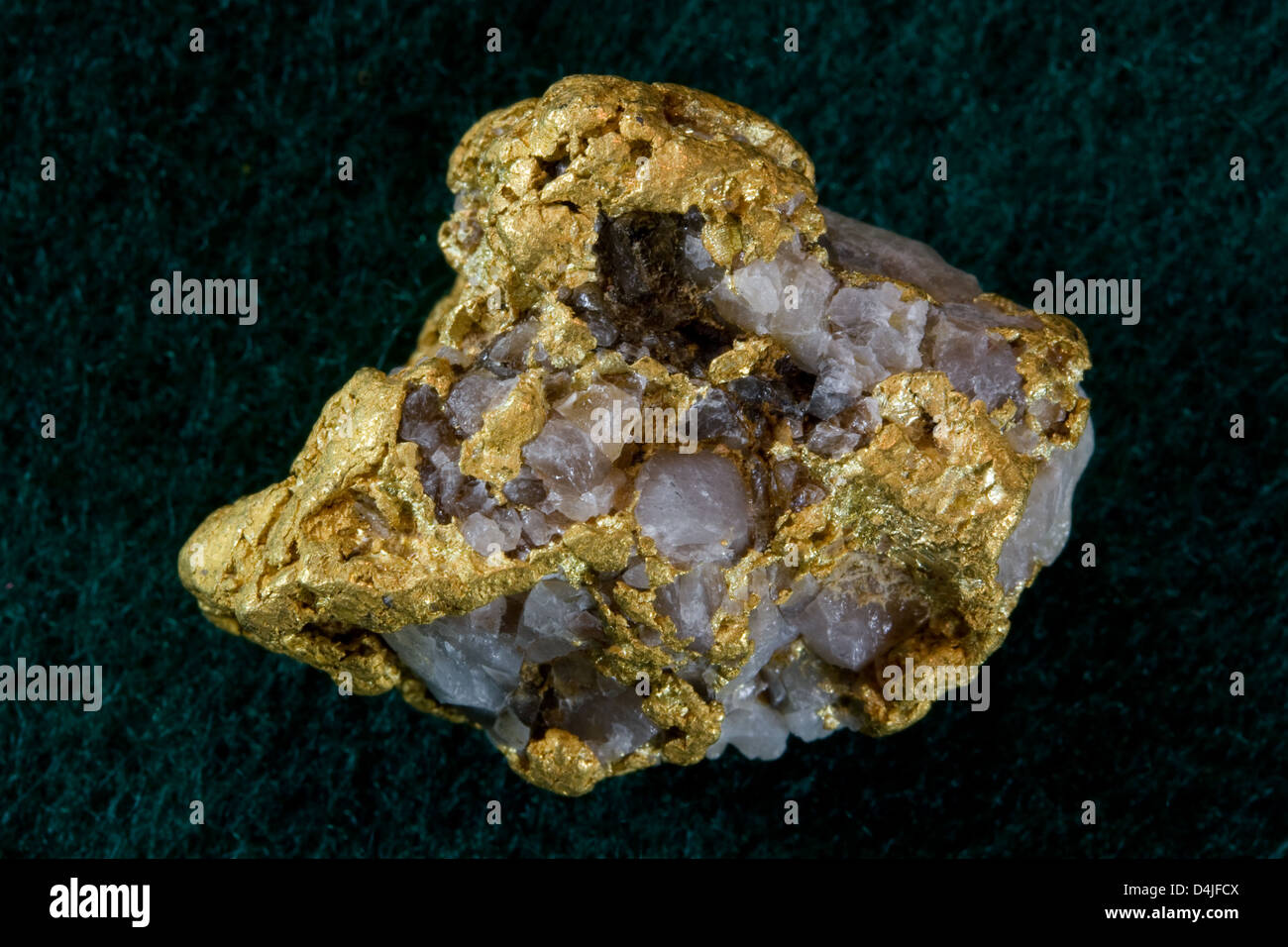 Nevada USA / oro Quartz Nugget - Modello Foto Stock