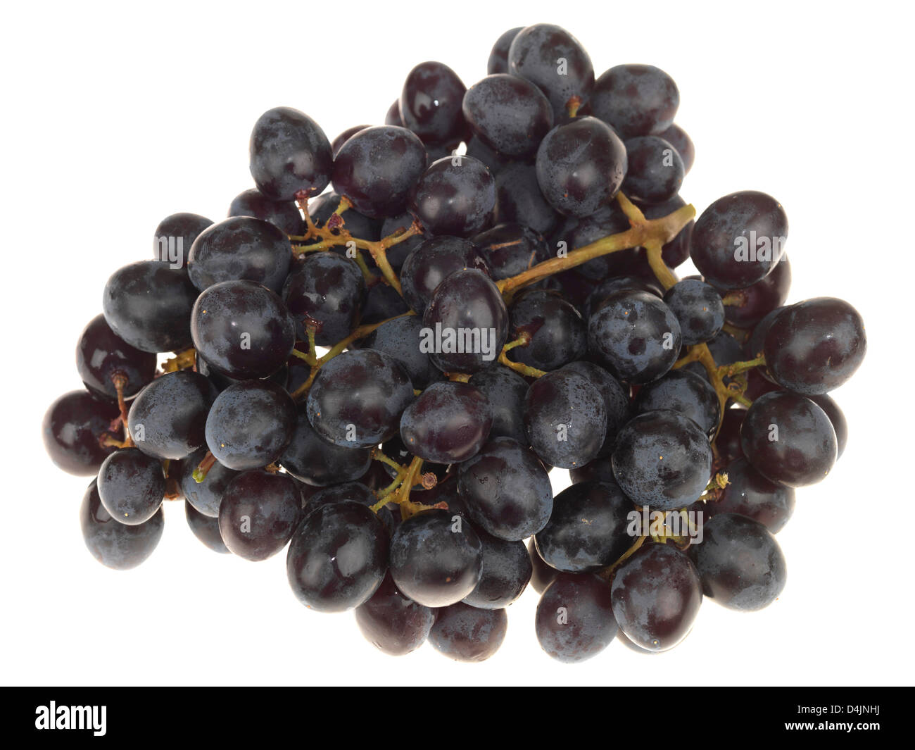 Mazzetto di fresche e mature Seedless dolci uve nere isolati contro uno sfondo bianco con un tracciato di ritaglio e nessun popolo Foto Stock