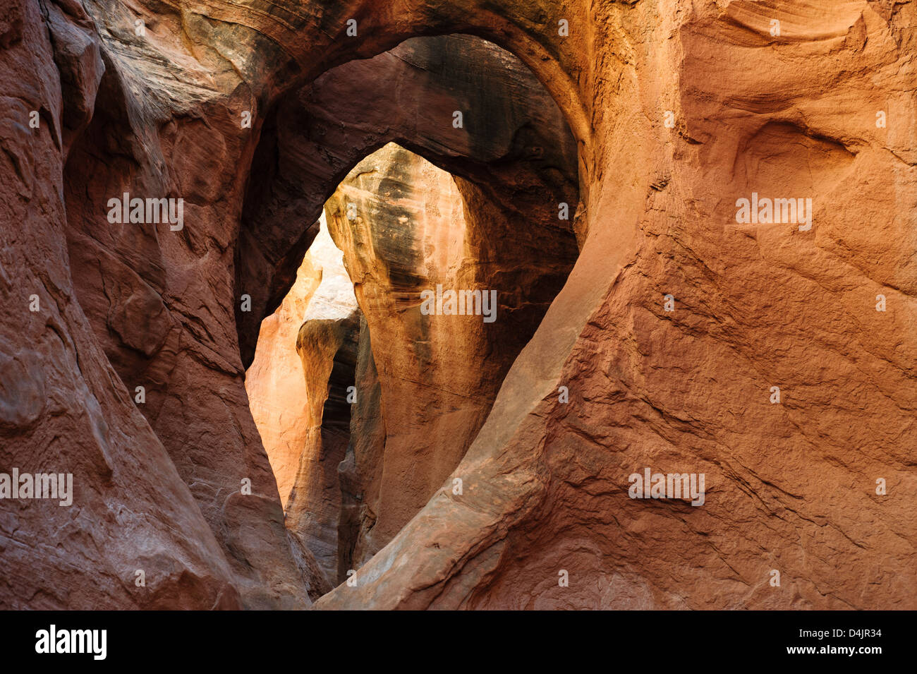 Passaruota interno peek-a-boo Canyon Slot in corrispondenza del foro in una roccia strada in grande scala monumento nazionale, Utah, Stati Uniti d'America Foto Stock