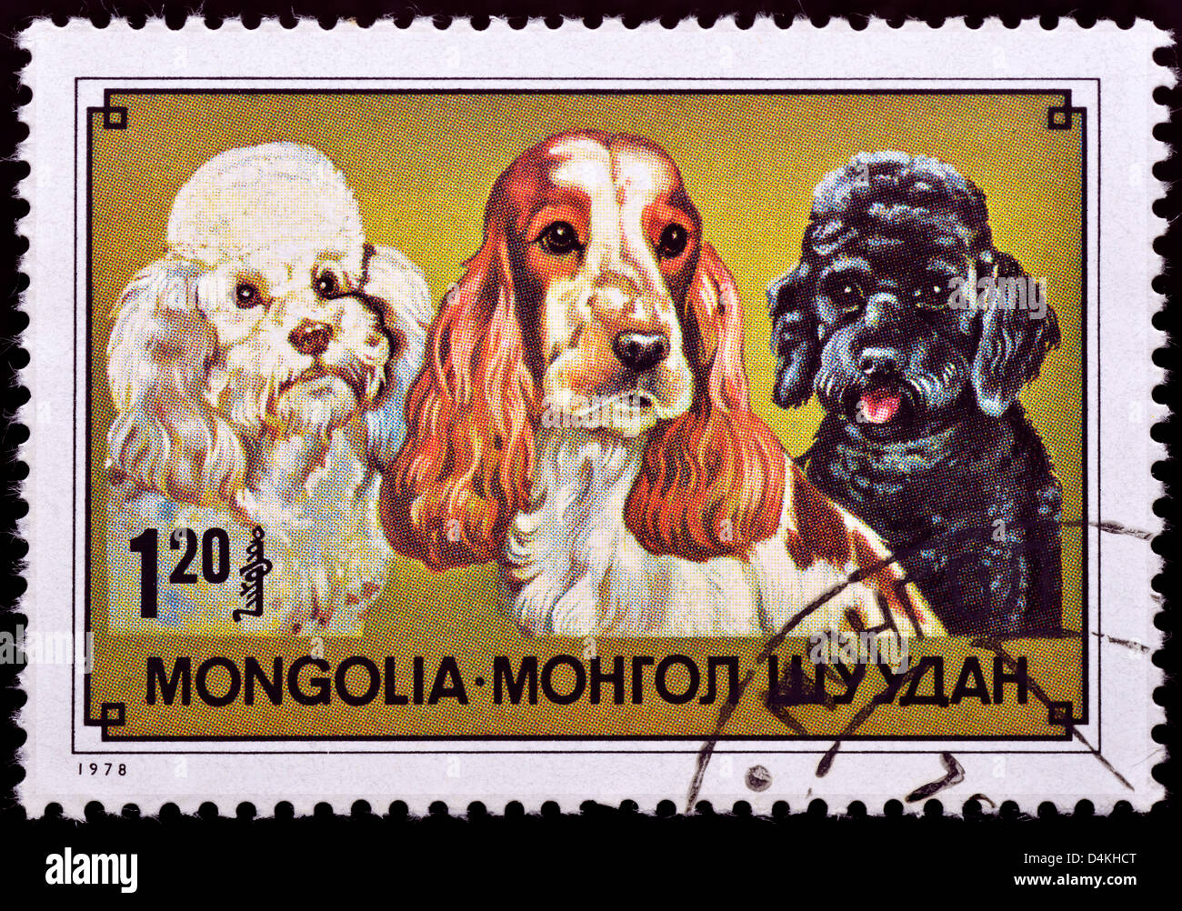 Il mongolo francobollo con cocker spaniel et gatti Foto Stock