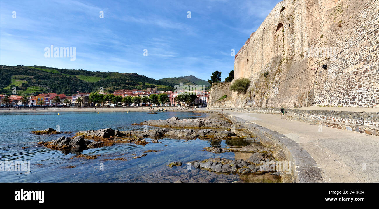 Panorama Collioure, comune sulla Côte Vermeille' nel dipartimento Pyrénées-Orientales, Regione Languedoc-Roussillon, Francia Foto Stock