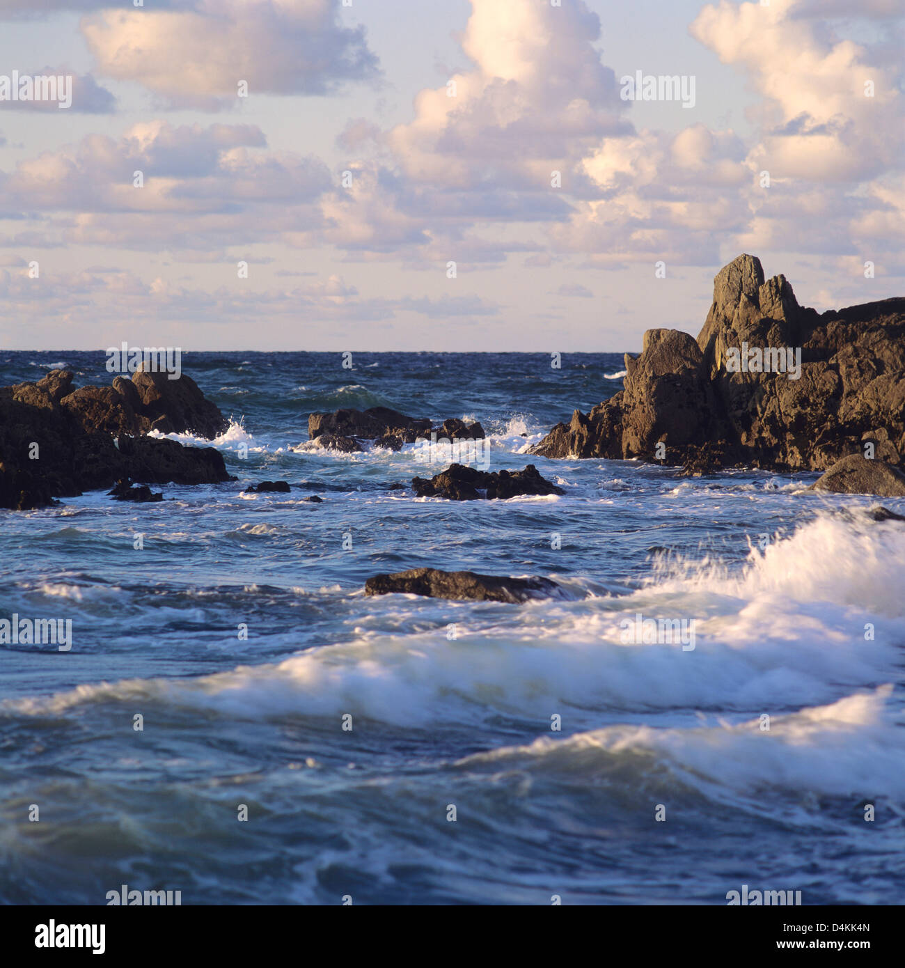 Costa rocciosa, in Normandia, Francia, Europa Foto Stock