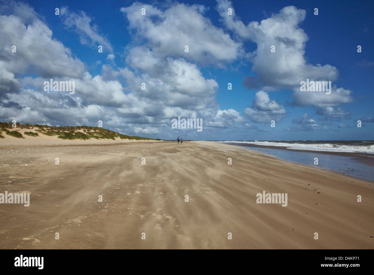 Spiaggia spazzate dal vento a Winterton, Norfolk, Regno Unito Foto Stock