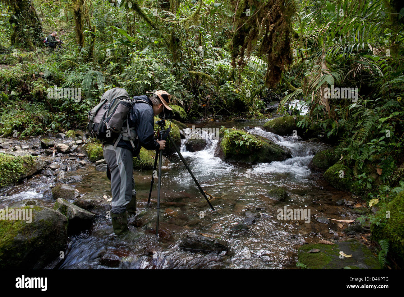 Fotografo Outdoor Øyvind Martinsen a lavorare in La Amistad national park, Chiriqui provincia, Repubblica di Panama. Foto Stock