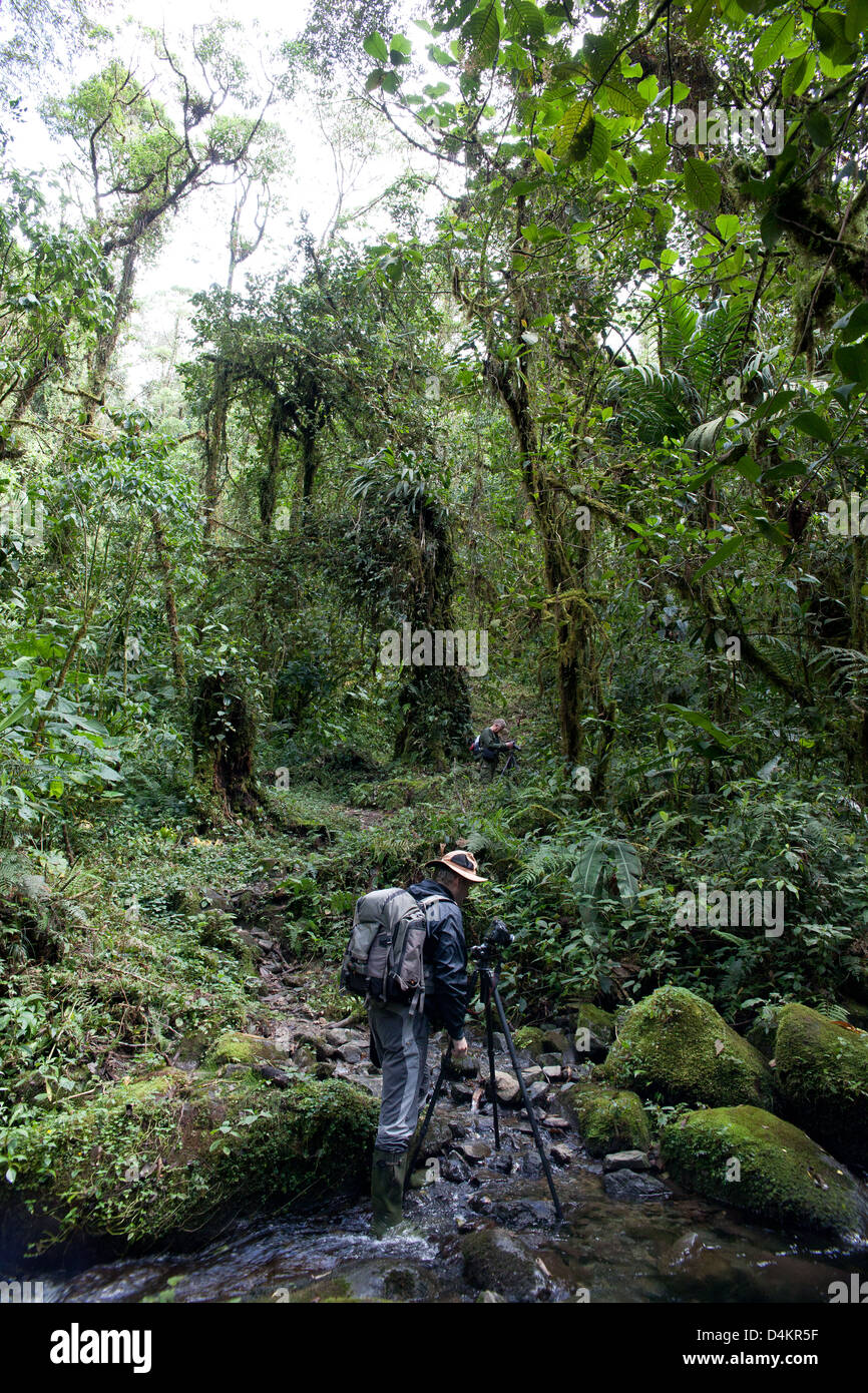 Fotografo Outdoor Øyvind Martinsen a lavorare in La Amistad national park, Chiriqui provincia, Repubblica di Panama. Foto Stock
