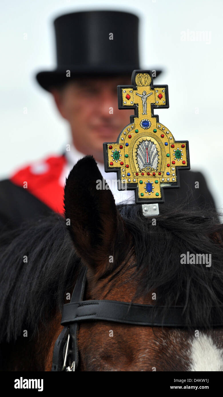 Un cavallo indossa una croce sulla sua testa durante il tradizionale Blutritt ?? (Sangue ride) in Weingarten, Germania, 22 maggio 2009. La processione in onore della reliquia Holy-Blood si svolge ogni anno il giorno dopo l'Ascensione giovedì, il cosiddetto ?Blutfreitag? Il sangue (venerdì). Alcuni pellegrini 2800 vestito di nero rode attraverso il addobbate a festa le strade. Europa?s più grande rider?s pr Foto Stock