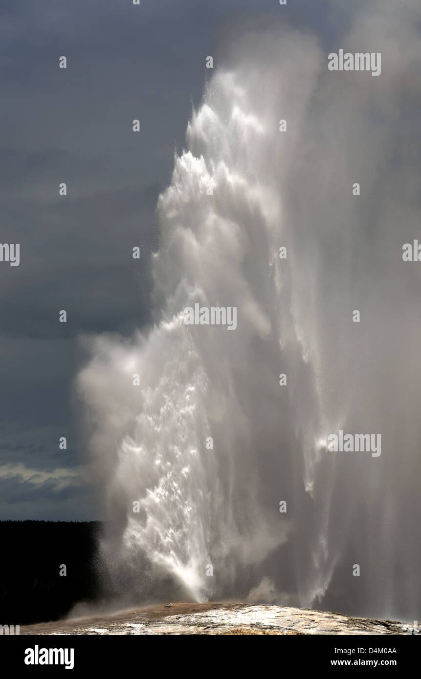 Geyser Old Faithful eruttando nel Parco Nazionale di Yellowstone in Wyoming negli Stati Uniti d'America Foto Stock