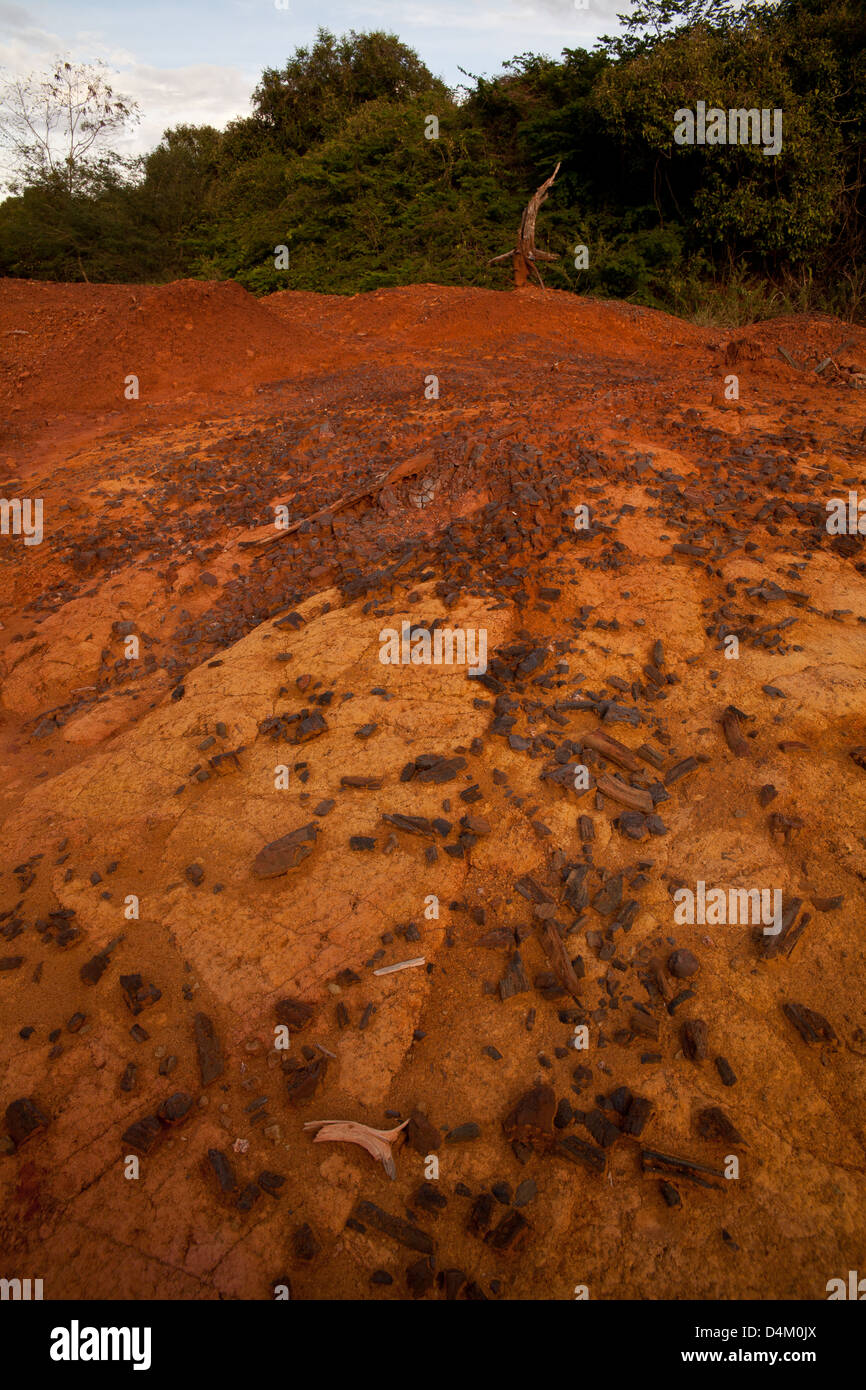 I pezzi di carbone, sulla superficie della terra rossa, da antichi insediamenti Sarigua national park, Herrera provincia, Repubblica di Panama. Foto Stock