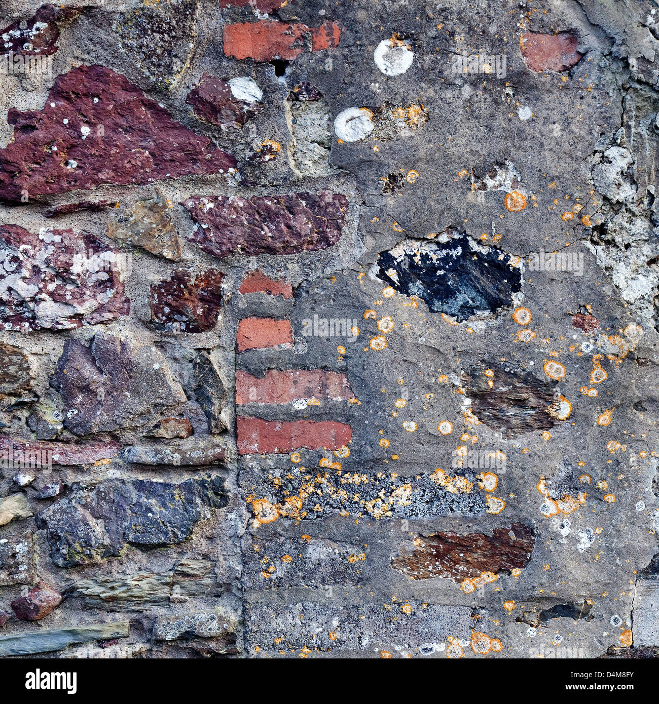 Mosaico colorato gable end in marloes village pembrokeshire south west wales in tarda estate Foto Stock