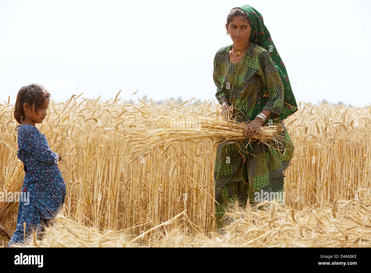 Hamzomahar, il Pakistan, la moglie e la figlia che lavora nei campi Foto Stock