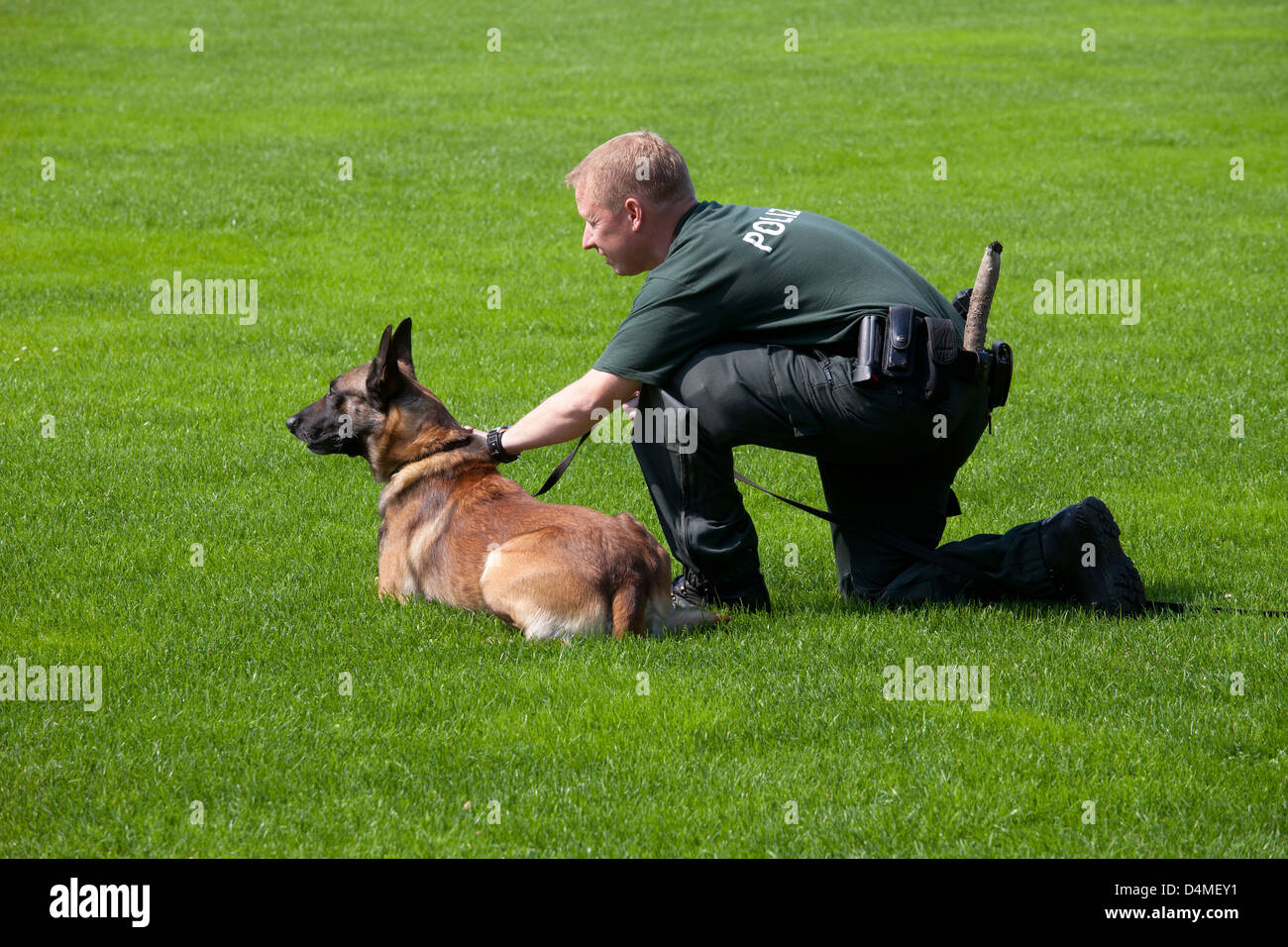 Schloss Holte-Stuckenbrock, Germania, cani di polizia a Einsatzuebung Foto Stock