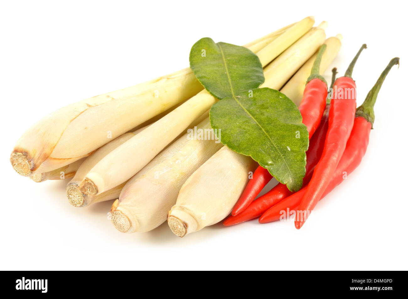 La citronella, peperoncino e combava su sfondo bianco Foto Stock