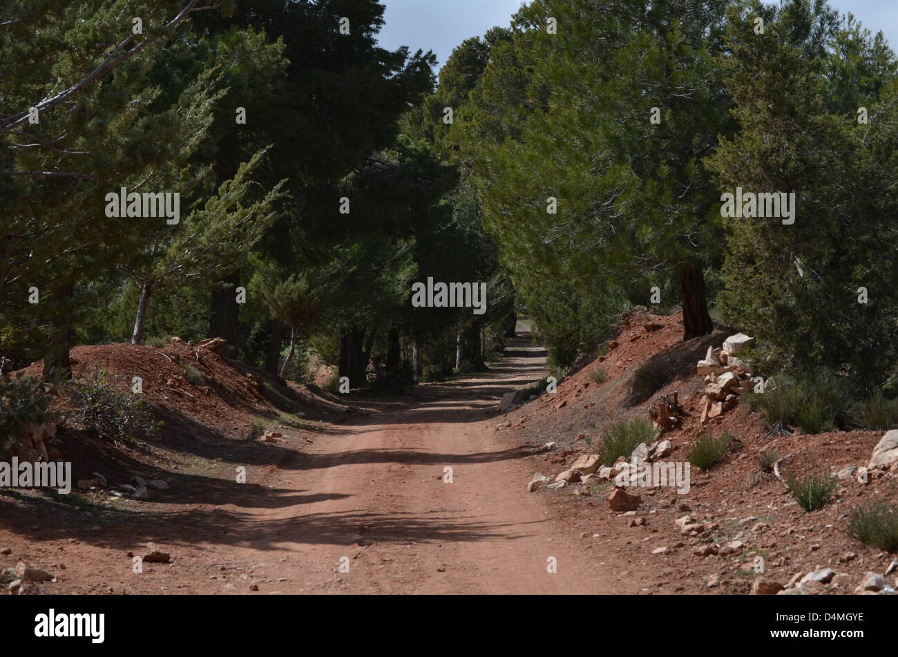Montagna marocchino via con alberi a sbalzo Foto Stock