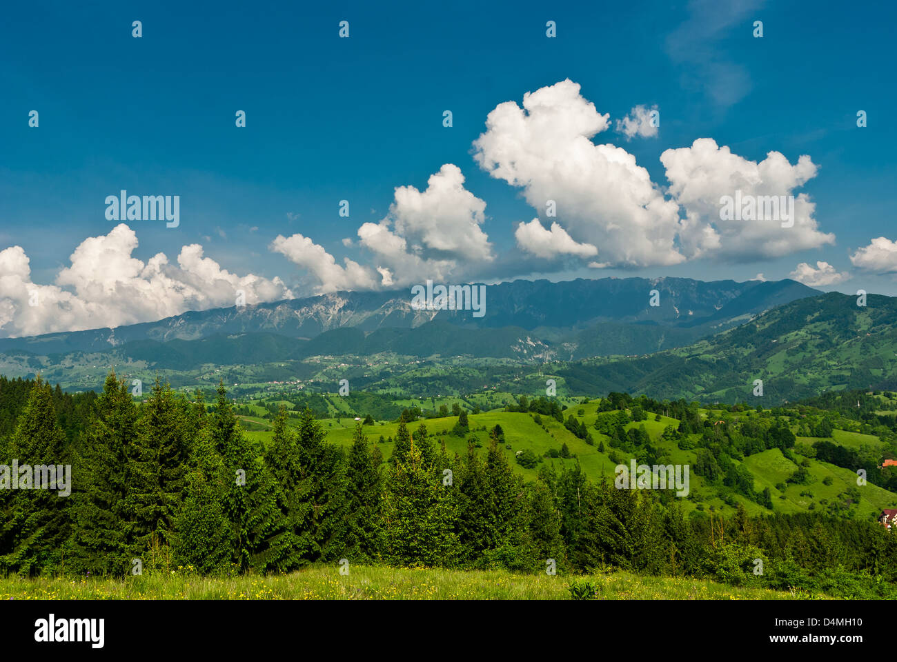 Paesaggio in Transilvania con Piatra Craiului Mountains Foto Stock