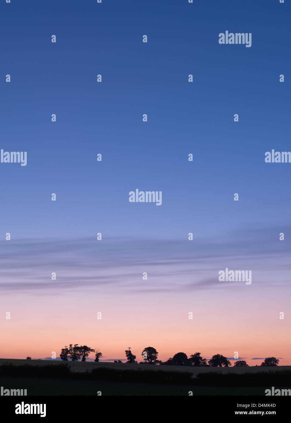 Una silhouette di alberi nella campagna di Norfolk vicino Chedgrave Foto Stock