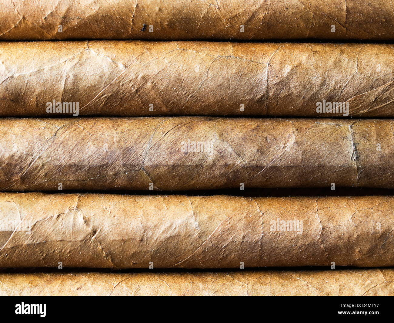 I sigari Avana disposte in filari formando un fondo dove ci sono le texture Foto Stock
