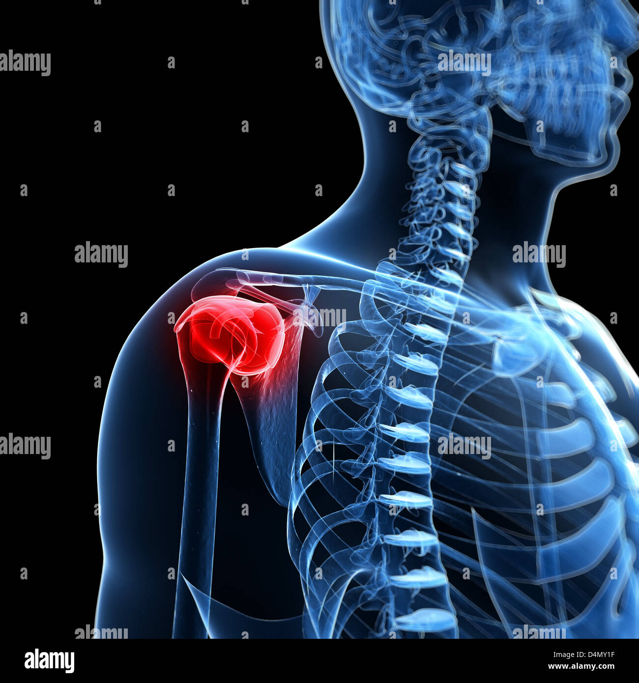 Evidenziato giunto a spalla Foto Stock