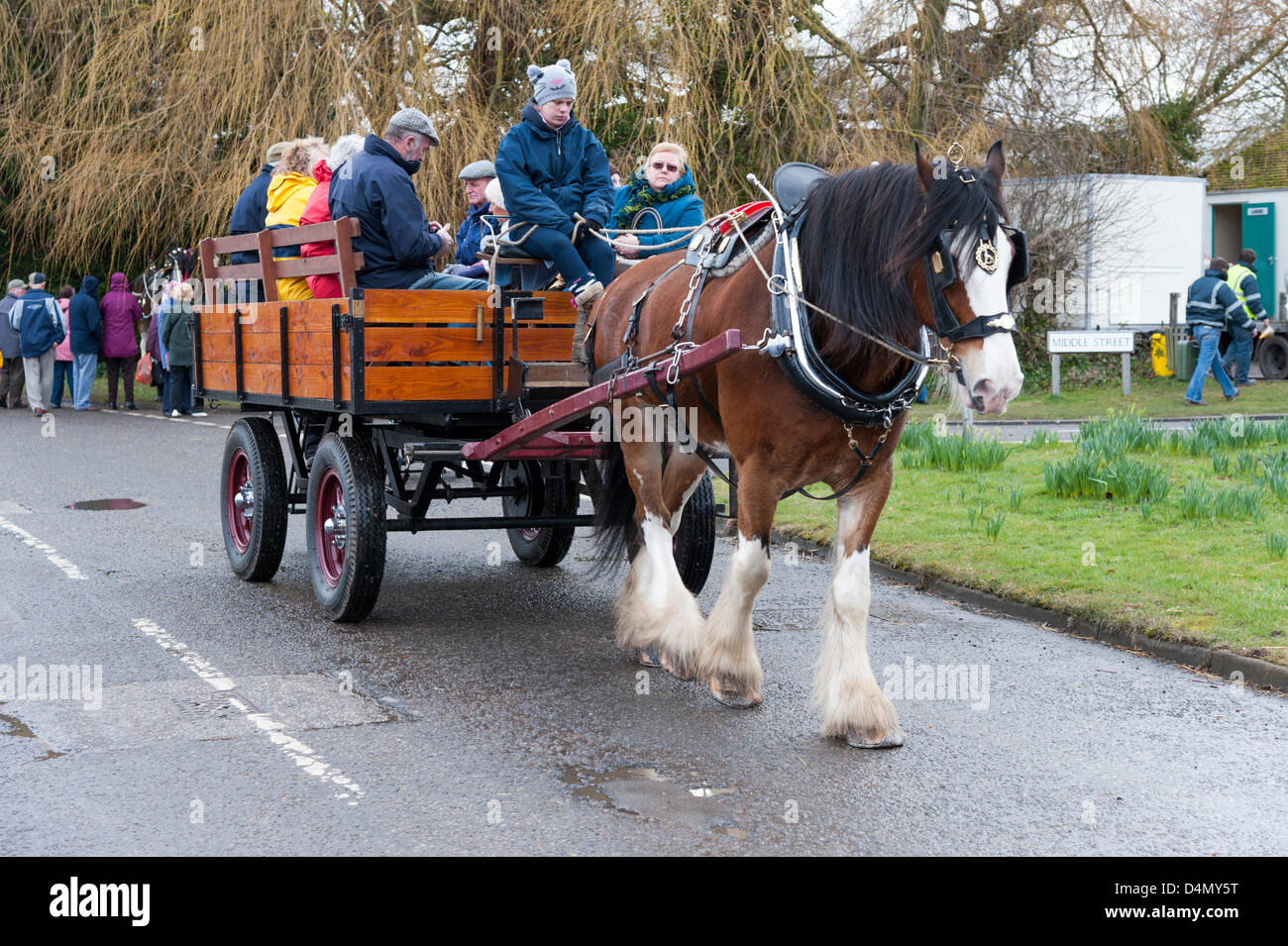 Thriplow Daffodil Weekend, Cambridgeshire, Regno Unito. Sabato 16 marzo 2013. I visitatori potranno godere di una corsa su un carro trainato da cavalli pesanti. Ci sono stati anche dei chioschi che vendono cibo, musica, artigianato, cavalli e sheep dog prove all'evento. Il vento e la pioggia non ha impedito il festival annuale che è frequentato da migliaia di visitatori e continua domani. La manifestazione è organizzata dall'Daffodil Weekend fiducia e raccoglie fondi per una diversa carità ogni anno. Credito: Julian Eales / Alamy Live News Foto Stock Thriplow Daffodil Weekend, Cambridgeshire, Regno Unito. Sabato 16 marzo 2013. I visitatori potranno godere di una corsa su un carro trainato da cavalli pesanti. Ci sono stati anche dei chioschi che vendono cibo, musica, artigianato, cavalli e sheep dog prove all'evento. Il vento e la pioggia non ha impedito il festival annuale che è frequentato da migliaia di visitatori e continua domani. La manifestazione è organizzata dall'Daffodil Weekend fiducia e raccoglie fondi per una diversa carità ogni anno. Credito: Julian Eales / Alamy Live News Foto Stock